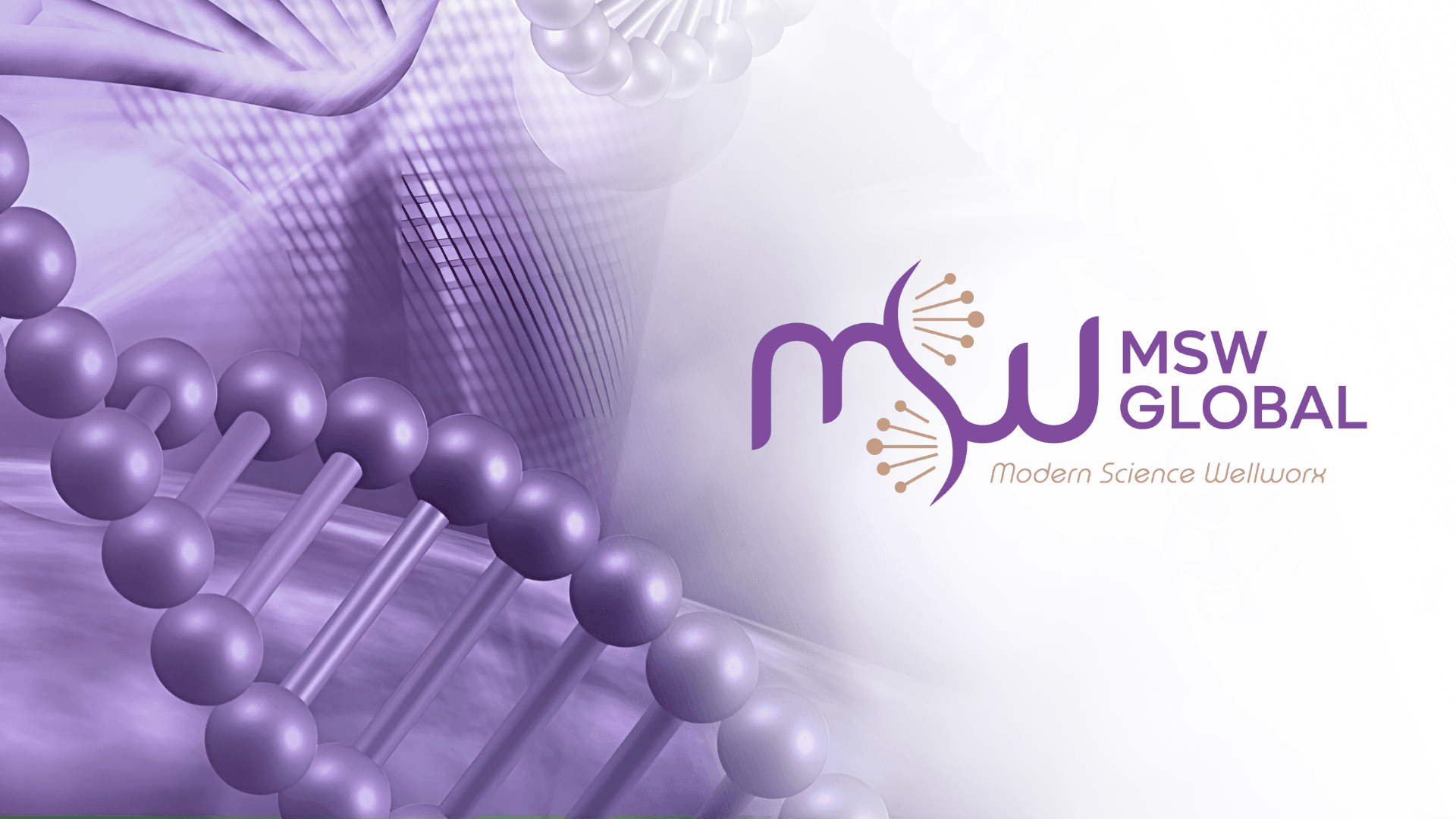 Myso18 Brand Banner