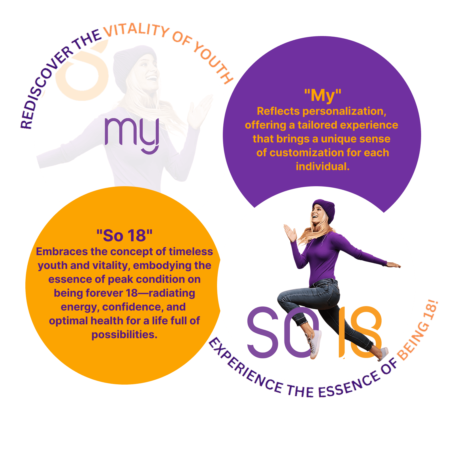 Global MSW Vision and Mission