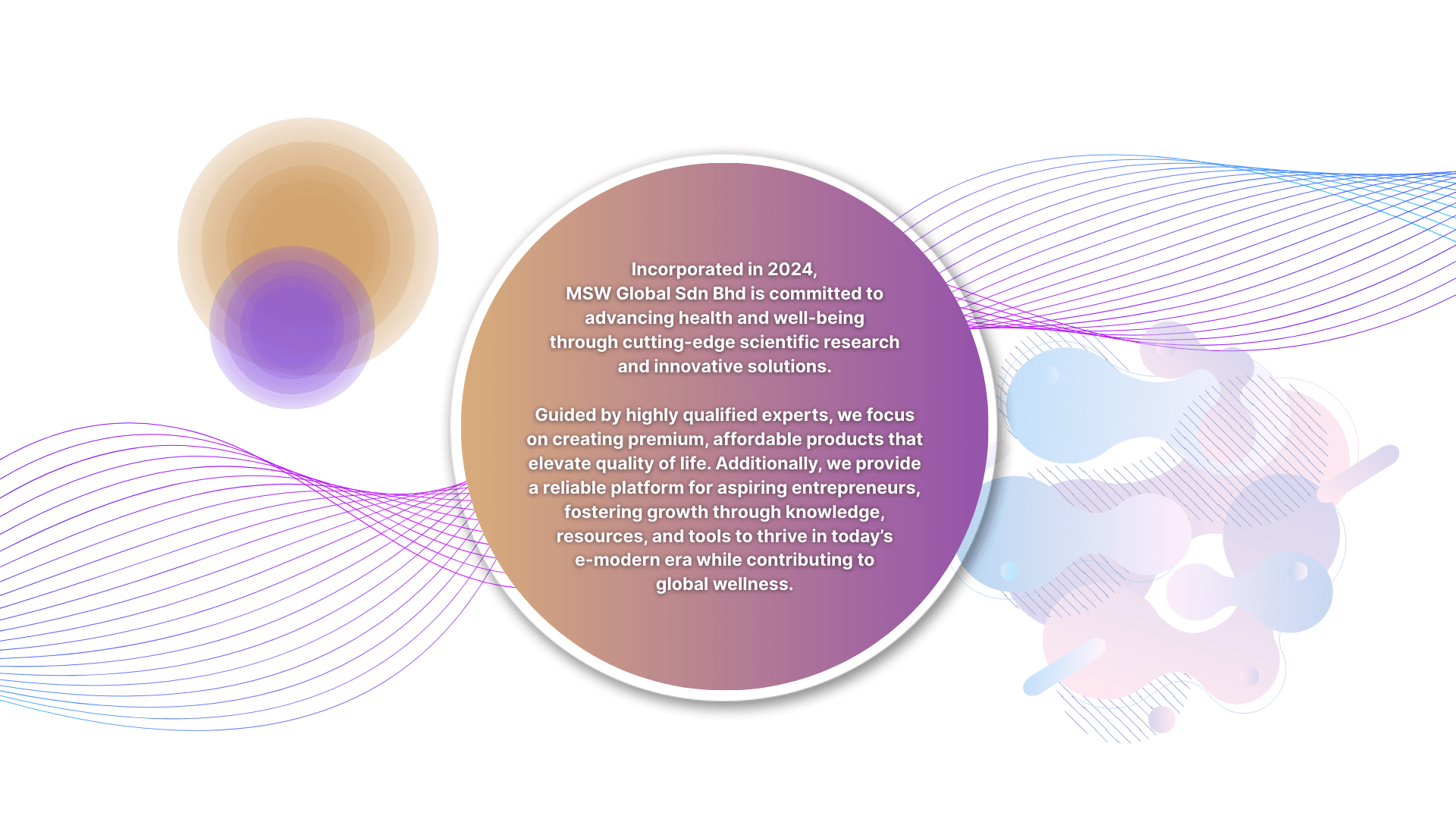 Global MSW Vision and Mission